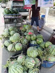 武都网红吃瓜事件,一场网络舆论的发酵与反思