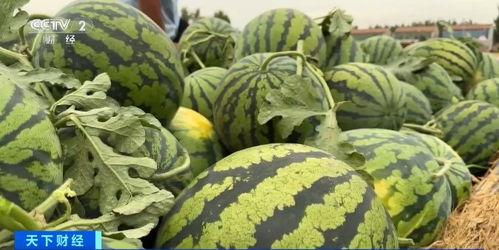 吃瓜上哪个网,揭秘热门网络平台背后的秘密