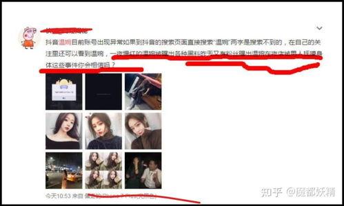 网红合集吃瓜视频下载,揭秘网络红人幕后故事