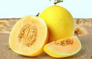 166su吃瓜网入口,揭秘娱乐圈最新热点，带你畅游八卦海洋